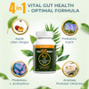 Vital Gut Health 4In1 Formula With Apple Cider Vinegar Prebiotics & Probiotics Digestive Enzymes For Strong Immunity Support And Complete Gut And Digestion Support 30 Days Supply