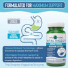 Vital Planet Vital Digest Natural Digestive Enzymes Supports Breakdown Of Proteins Fats And Carbohydrates And Reduces Occasional Gas Bloating And Indigestion 90 Capsules (Packaging May Vary)