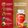 Nutrapep Premium Berberine Hcl Weight Loss Support Gummies - 1200 Mg Berberine Hcl With Ceylon Cinnamon Turmeric Milk Thistle Artichoke For Metabolism Appetite Support - Sugar Free Gluten Free