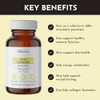 Just Ingredients Zinc Complex Highly Absorbable Supplement With Picolinate & Bisglycinate Plus Quercetin Resveratrol L-Histidine & Copper Supports Immune Function Skin Energy & Cellular Health