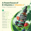 Vccvbb Vitamin B Complex Drops Active B12 Methylcobalamin 5000Mcg B6 B1 B2 B5 B7 B3 Folate With Vitamin C B12 Sublingual Liquid Fast Absorption | Boost Energy Focus & Immunity Vegan 60 Servings