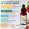 Nusava (2-Pack) Methylated B Complex Liquid Drops - Vitamin B Complex With Active L Methylfolate - B12 Sublingual Drops - Vegan B12 Vitamin 5000Mcg Non-Gmo Raspberry Flavor No Sugar 2 Fl Oz 80 Servings