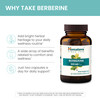 Himalaya Berberine Supplement Berberine HCL 1000 mg per Serving Herbal Supplement for Supporting Normal Metabolism Immune and Digestive Health - Vegan Gluten Free 60 Vegetarian Capsules