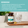 Himalaya Berberine Supplement Berberine HCL 1000 mg per Serving Herbal Supplement for Supporting Normal Metabolism Immune and Digestive Health - Vegan Gluten Free 60 Vegetarian Capsules