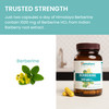 Himalaya Berberine Supplement Berberine HCL 1000 mg per Serving Herbal Supplement for Supporting Normal Metabolism Immune and Digestive Health - Vegan Gluten Free 60 Vegetarian Capsules
