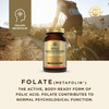 Solgar Male Multiple Tablets - Pack of 60