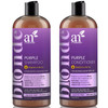 ArtNaturals Purple Shampoo and Conditioner Set  (2 x 16 Fl Oz / 473ml)  Protects, Balances and Tones  Bleached, Color Treated, Silver, Brassy and Blonde Hair - Sulfate Free