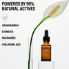 Grown Alchemist Skin Renewal Anti Aging Serum. With Ashwagandha Niacinamide & Hyaluronic Acid. Hydrating Firming For Dark Spots & Wrinkles (25Ml)