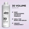 Clairol Professional Cr Me Permanente 30 Volume Hair Developer . - Packaging May Vary 16 Oz