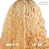 L'oreal Paris Sulfate Shampoo And Conditioner For Curly Hair Lightweight Anti-Frizz Hair Care With Coconut Oil Everpure Set Of 2 (Packaging May Vary) 8.5 Fl Oz