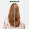 Biolage Color Last Travel Size Trio Kit - With Mini Color Last Shampoo Conditioner & All- In-One Spray For Color-Treated Hair Maintains Vibrancy & Adds Shine Mini Set 3 Piece