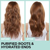L'oreal Paris L Or Al Paris Elvive Extraordinary Clay Rebalancing Shampoo 12.6 Fl Oz (Packaging May Vary)