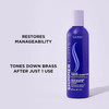 Clairol Professional Shimmer Lights Purple Conditioner | Neutralizes Brass & Yellow Tones | For Blonde, Silver, Gray & Highlighted Hair - 8 Fl Oz