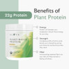 Alaya Naturals Organic Plant Based Protein Powder
