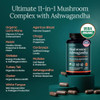 Etta Vita Usda Organic Lions Mane Supplement Capsules With Ashwagandha Chaga Reishi