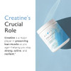 Alaya Naturals Micronized Creatine Monohydrate Powder 5 G