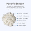 Alaya Naturals Micronized Creatine Monohydrate Powder 5 G