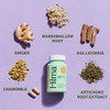Hilma Natural Upset Stomach Relief 28 Capsules