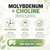 Balance One Liver Support Supplement With Milk Thistle Molybdenum Dandelion Root &