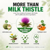 Balance One Liver Support Supplement With Milk Thistle Molybdenum Dandelion Root &