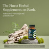 Gaia Herbs Saw Palmetto 60 Servings