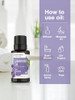 Horbaach Lavender Essential Oil Pure 51 Fl Oz