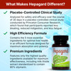 Hepagard Natural Liver Support Supplement With N Acetyl Cysteine (Nac)