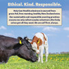 Holy Cow Health Colostrum Capsules Pure Undiluted + Highly Bioactive