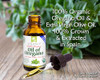 Island Nutrition Oil Of Oregano Organic Liquid Drops 1 Fl Oz