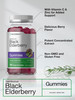 Horbaach Black Elderberry Gummies 120 Count