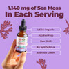 Maryruth's Organic Irish Sea Moss Liquid Drops 1 Fl Oz