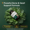 Naturebell Vitamin K Complex 300 Softgels 2600Mcg