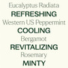 Plant Therapy Eucalyptus Mint Essential Oil Blend (1/ 100% Pure Undiluted Invigorating 10 Ml