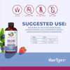 Maryruth's Prenatal Postnatal Iron Liquid 1522 Fl Oz