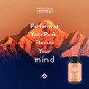 Wellpath Mind Brain Supplement For Memory And Focus With Lion's Mane 60 Ct