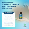 Natures Craft Organic Mullein Drops For Lungs 4 Fl Oz