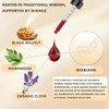 Scibalia Wormwood Black Walnut Clove Cleanse For Human Drops 19 In 1 Triple Action