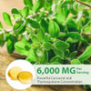 Xqdcicqu Oil Of Oregano Softgels 2 In 1 Oil Of Oregano 120 Count 6000Mg