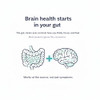 Purity Labs Gutbrain Brain Supplement For Memory And Focus With Probiotics Advanced 60 Capsules