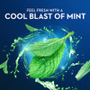 Oral-B Burst Of Scope Dental Floss Picks Fresh Mint Each ( Total) 75 Count Pack Of 6 450 Count