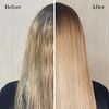 Saphira Volume Boost Mineral Conditioner with Dead Sea Minerals – Lightweight Volumizing Conditioner for Fine & Thin Hair – Body & Lift – Professional Hair Care 8.5oz / 250ml