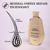 Saphira Mineral Rebalance Conditioner with Dead Sea Minerals – Lightweight Balancing Conditioner for Oily Scalp & Normal Hair – Softness & Freshness – Professional Hair Care 8.5z