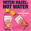 Dickinson's Enhanced Witch Hazel Hydrating Toner-16 Fl Oz