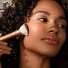 EcoTools Precious Metals Face Blend & Sculpt Set