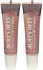 Burt's Bees 100% Natural Origin Moisturizing Lip Shine, Smooch - 1 Tube