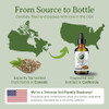 Bella Terra Oils - Hemp Seed Oil