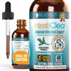 Rejuvica Health IntestiClear - Advanced Intestinal Support Supplement - Liquid Delivery for Better Absorption - Wormwood, Cloves, Black Walnut, Garlic & More! - 2 Fl Oz