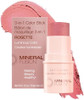 Mineral Fusion 3 in 1 Color Stick Hydrating Cream Blush Tint for Cheek Lip and Eye Natural Multi Use Makeup