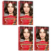 Revlon ColorSilk Hair Color