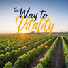 Vitalitown Moringa Capsules Pure Moringa Oleifera Leaves No Sticks No Caffeine Energy Immune 60 Capsules